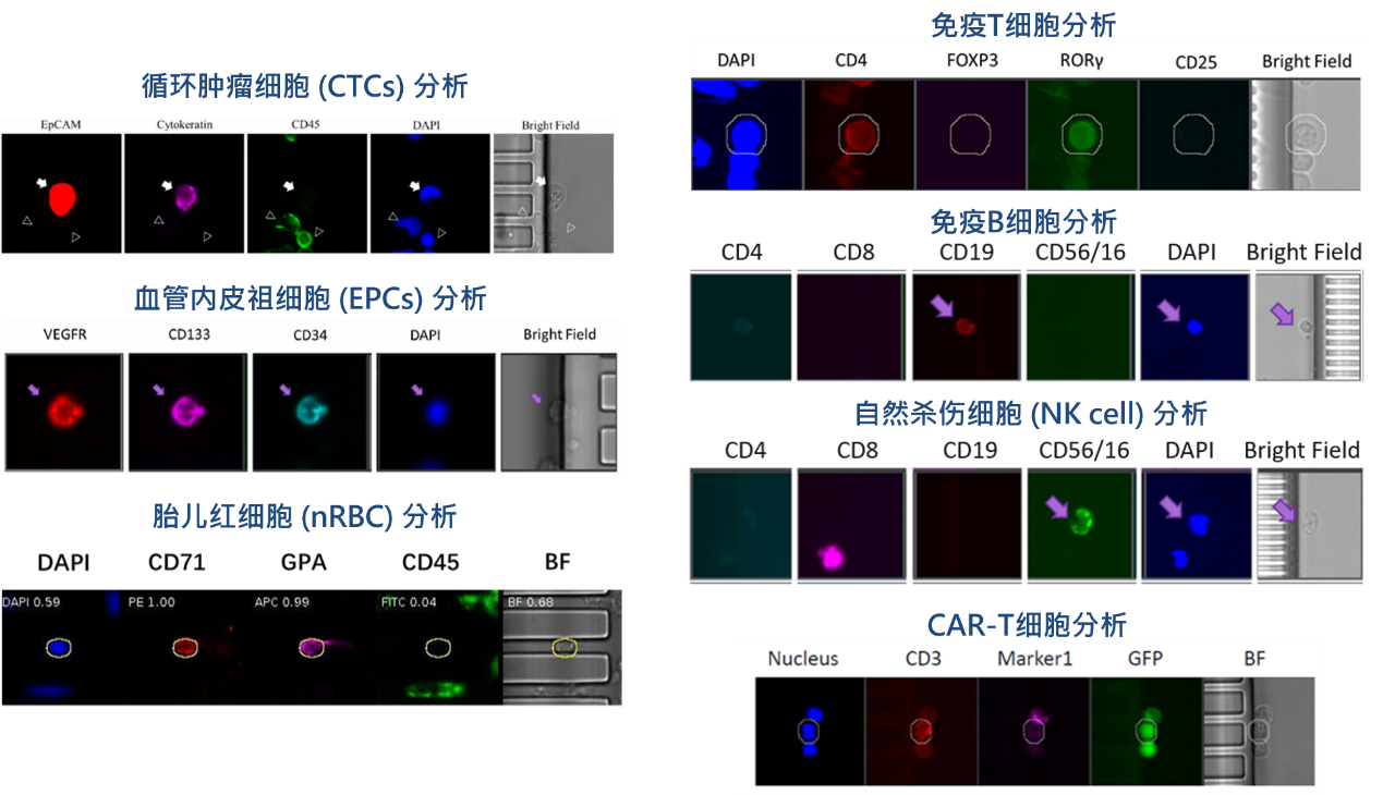 1、各類稀有細(xì)胞檢測(cè)分析.png