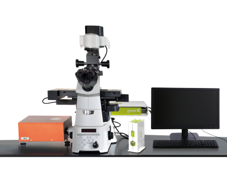 3D Organoid and Cellular Microenvironment Preparation and Fast Detection System