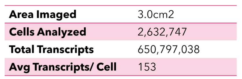 Human Liver Cancer Sample - Ultra.png